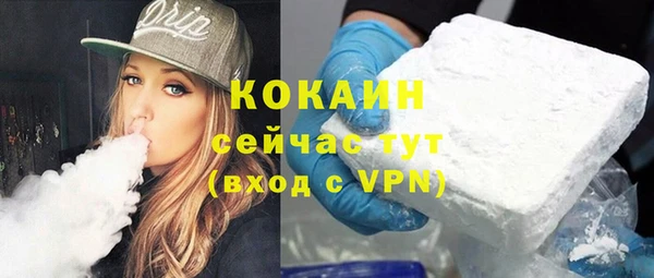 прущие грибы Армянск