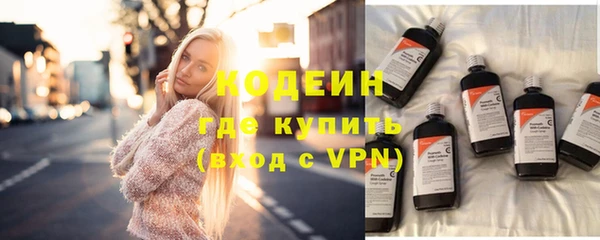 ГАЛЛЮЦИНОГЕННЫЕ ГРИБЫ Арсеньев