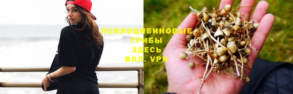 стаф Приозерск