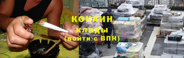 прущие грибы Армянск