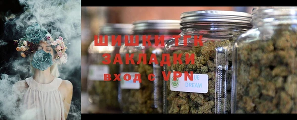 прущие грибы Армянск